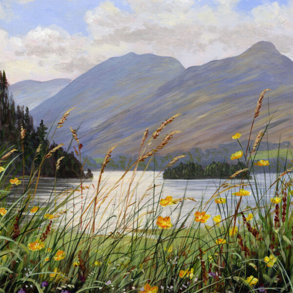 Lake District art print by local artist Jeff Sudders. View from the shoreline of Derwentwater with buttercups in the foreground. Looking across the water you see the edge of Lord's Island and St Herbert's Island, with the peaks of Catbells, Maiden Moor and High Spy retreating into the distance.