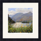 Lake District Art framed print Buttercups and Catbells Derwentwater by Jeff Sudders in a black frame