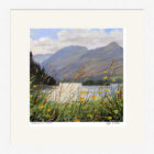 Lake District Art framed print Buttercups and Catbells Derwentwater by Jeff Sudders in a white frame.