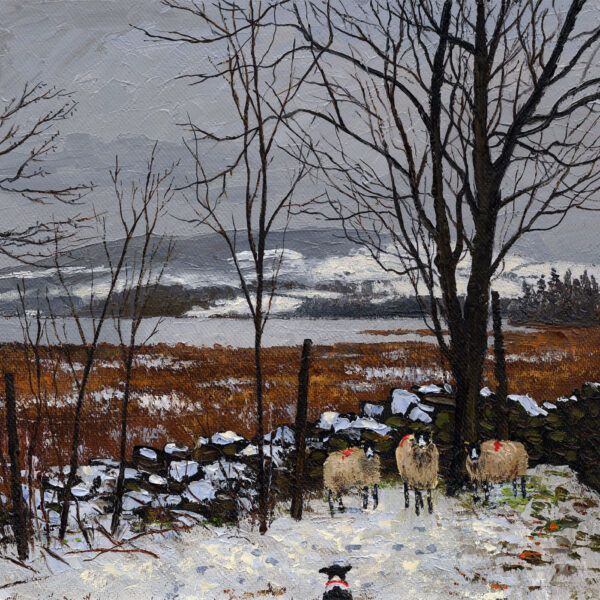 Lake District art print Cornered by local artist Jeff sudders. A sheepdog guards 3 sheep in snowy fields with lake behind.
