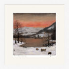 Lake District Art framed print Just 4 Sheep at Rydal Water by Jeff Sudders in white frame.