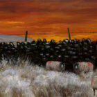 Lake District art print Just 4 Sheep and a Crow by local artist Jeff Sudders. Sheep and huddle by a dry stone wall in snowy fields whilst a crow perches on a gatepost against a red sunset sky.