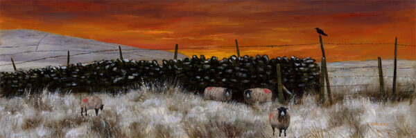 Lake District art print Just 4 Sheep and a Crow by local artist Jeff Sudders. Sheep and huddle by a dry stone wall in snowy fields whilst a crow perches on a gatepost against a red sunset sky.