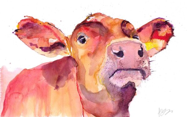 Kate Stephens Morning Framed print Cow Animal art