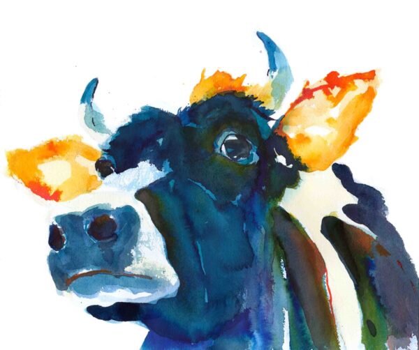 Kate Stephens look at my horns art print