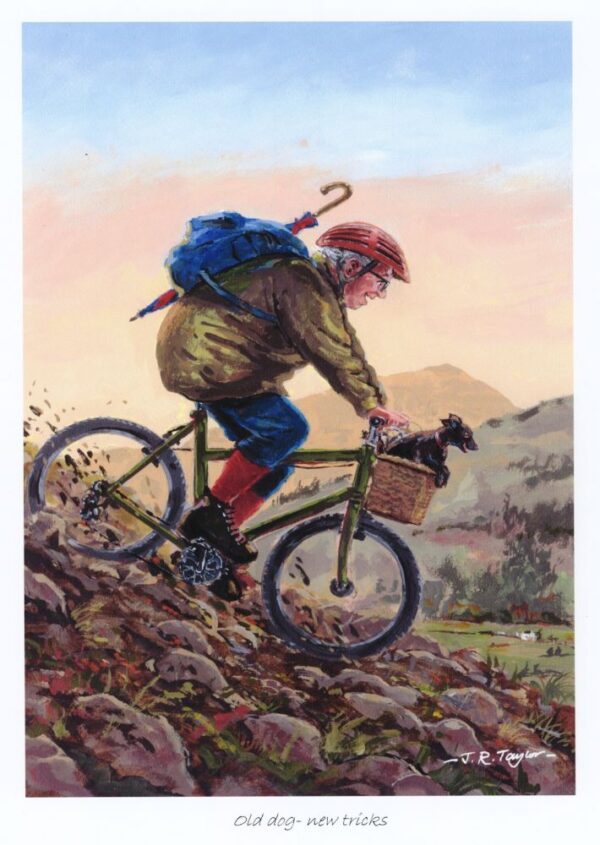 Lake District art by Jim Taylor. Old Dog - New Tricks an art print featuring an old man and his dog on a bike on their Lakeland travels. A sweet and often funny story.