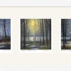 Lake District art framed print Rain Trio by local artist Jeff Sudders in a white frame.