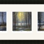 Lake District art framed print Rain Trio by local artist Jeff Sudders in a black frame.