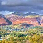 Skiddaw from Borrowdale shows the whole Skiddaw Range taken from Derwentwater with foreground foliage autumnal. It shows Skiddaw Little Man Ullock Pike Long Side and Dodd