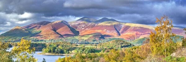 Skiddaw from Borrowdale shows the whole Skiddaw Range taken from Derwentwater with foreground foliage autumnal. It shows Skiddaw Little Man Ullock Pike Long Side and Dodd