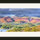 Skiddaw from Borrowdale shows the whole Skiddaw Range taken from Derwentwater with foreground foliage autumnal. It shows Skiddaw Little Man Ullock Pike Long Side and Dodd