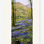 Lake District art framed print Spring Woodland Near Ambleside by local artist Jeff Sudders in a white frame.