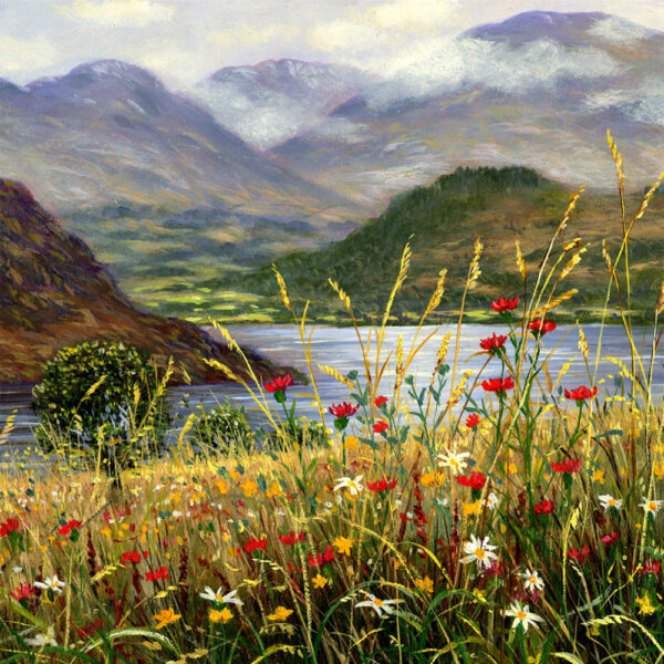 Lake District art print Summer at Ullswater by local artist Jeff Sudders. Wildflowers and grasses in the foreground with Ullswater and mountains in the distance.
