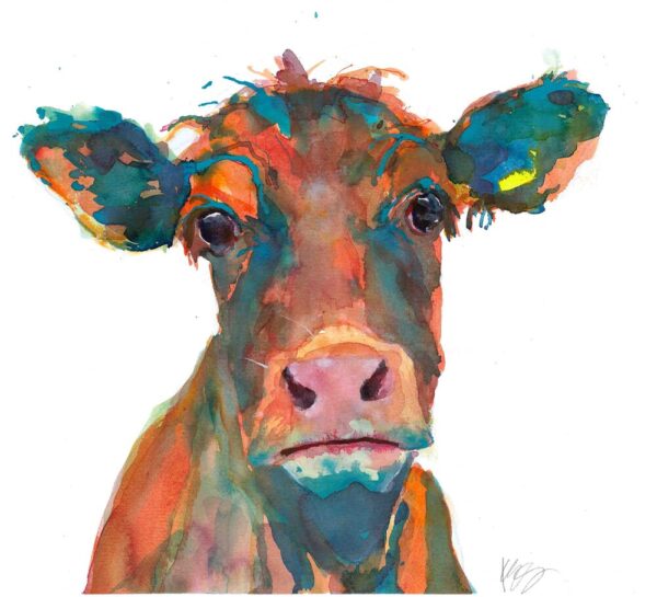 Young Heifer art print by Kate Stephens