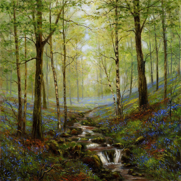 Lake District art print Bluebell Wood by local artist Jeff Sudders. Sunlight filters through woodland onto bluebells and stream.
