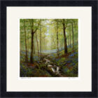 Lake District Art framed print Bluebell Wood by Jeff Sudders in a black frame.
