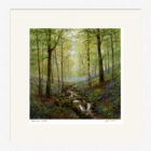 Lake District Art framed print Bluebell Wood by Jeff Sudders in a white frame.