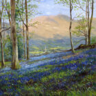 Lake District art print Springtime Above Ambleside by local artist Jeff Sudders. A bluebells woodland sloping to Ambleside in the distance with church steeple and mountains in view.