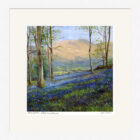 Lake District Art framed print Springtime above Ambleside by Jeff Sudders in a white frame.
