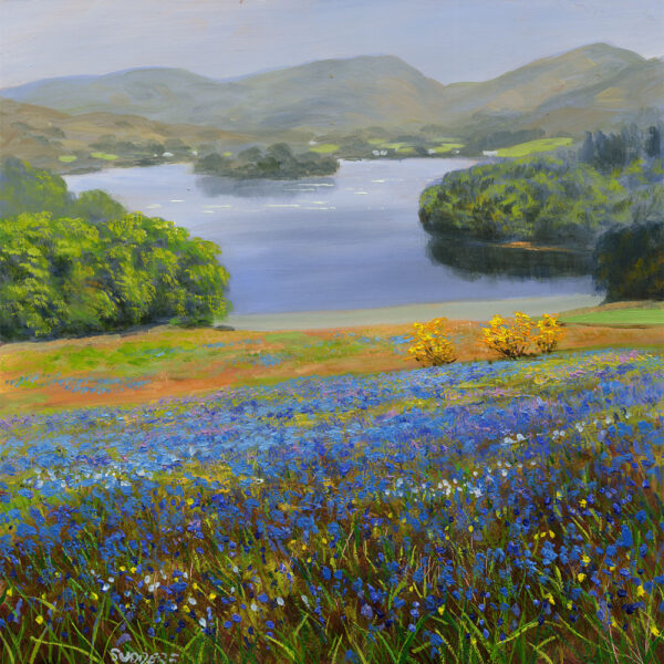 Lake District art print Springtime at Loughrigg Terrace by local artist Jeff Sudders. Bluebells cover the fells sloping towards Grasmere with mountains and lake in the distance.