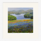 Lake District Art framed print Springtime at Loughrigg Terrace Grasmere by Jeff Sudders in a white frame.