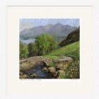 Lake District Art framed print Wild Roses at Ashness Bridge by Jeff Sudders in a white frame.