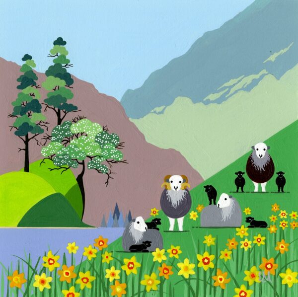Lake District art by Linda Mellin. Herdwick sheep on a hillside in spring with little lambs and daffodils.