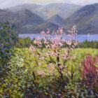 Lake District art print Magnolia Tree and Derwentwater by local artist Jeff Sudders. A pink magnolia tree blossoms in fields on the shore of Derwentwater with the lake and north Lakes mountains behind.