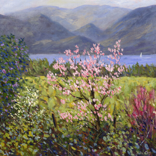 Lake District art print Magnolia Tree and Derwentwater by local artist Jeff Sudders. A pink magnolia tree blossoms in fields on the shore of Derwentwater with the lake and north Lakes mountains behind.