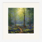 Lake District Art framed print The Woods in Spring by Jeff Sudders. Light shines through trees onto bluebells and a woodland path.