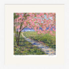 Lake District art framed print Borrans Park Windermere by Jeff Sudders. A pink blossom tree hangs over the path in Borrans Park with the lake behind.