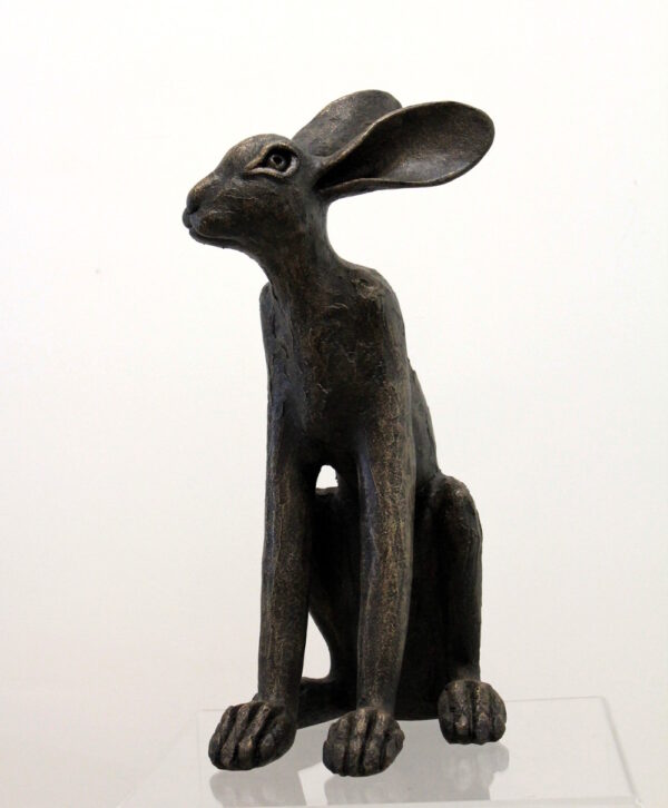 Sitting Hare
