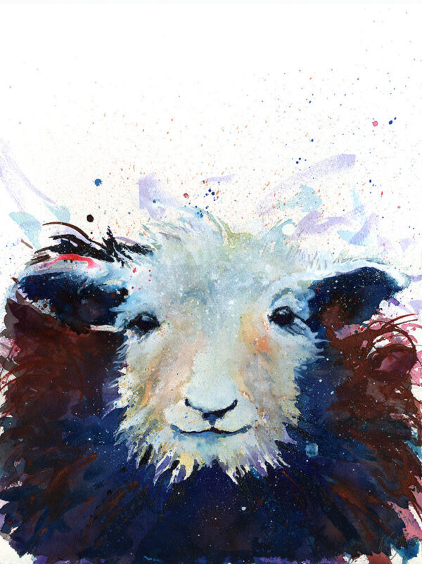 Kate Stephens handsome herdwick art print