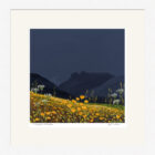 Lake District art framed print A Langdale Meadow by Jeff Sudders in a white frame.