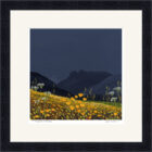 Lake District art framed print A Langdale Meadow by Jeff Sudders in a black frame.