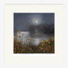 Lake District art framed print A Robin's Evening Song by Windermere by Jeff Sudders in a white frame.