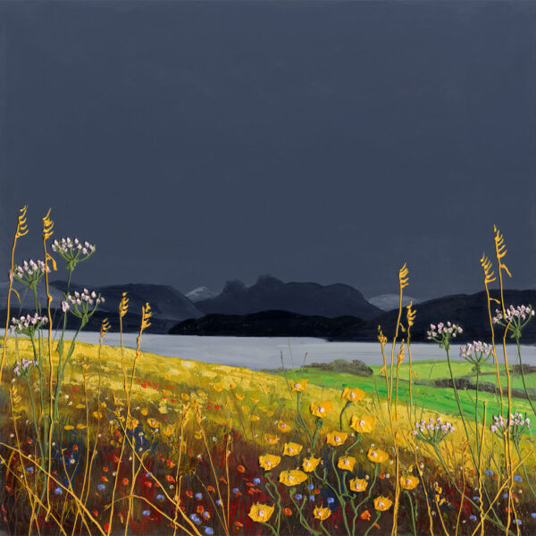 Lake District art print Autumn Fields by local artist Jeff Sudders. A dark blue sky and silhouetted mountains with buttercups and grasses in the foreground.