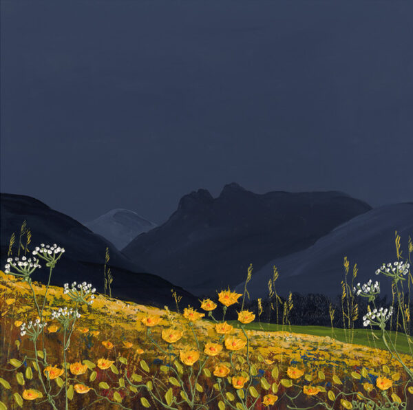 Lake District art print by Jeff Sudders A silhouetted view to Allen Crags Great Gable Pike O'Stickle and Harrison Stickle in shades of blue with a yellow buttercup field.
