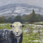 Lake District art print Local by local artist Jeff Sudders. A Herdwick sheep in the foreground with snow dusted field and mountains behind.