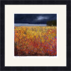 Lake District art framed print Autumn Sky, Windermere by local artist Jeff Sudders in a black frame