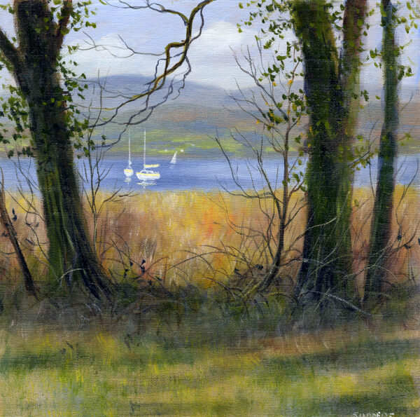 Sunny Afternoon at Windermere Lake District art framed print by Lake District artist Jeff Sudders