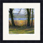 Lake District art framed print by local artist Jeff Sudders. Sunny Afternoon by Windermere shows a boat on the lake seen through trees. Black frame.