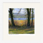Lake District art framed print by local artist Jeff Sudders. Sunny AFternoon at Windermere shows a sailing boat on the lake seen through trees.