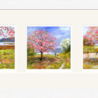 Lake District art framed print Cherry Blossom at Waterhead Trio by local artist Jeff Sudders in a white frame.