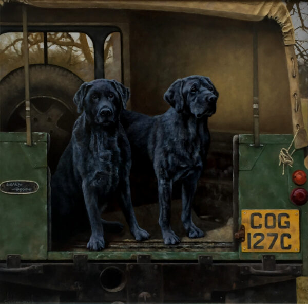 Faithful Friends by Stephen Park, an original oil painting of two Black Labradors in the back of a farmer's vehicle
