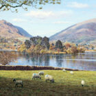 classic lake district view of grasmere water from dale end looking over the island towards helm crag and seat sandal by lake district artist keith melling