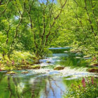 original oil painting by lake district artist terry evans of idyllic lakeland oasis with lush greens and quiant meandering riverside waters small waterfall and summer foxgloves