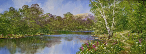 original oil painting by terry evans of lake district inspired countryside scene of riverside path walks silver birch and foxglove summer green and water reflections
