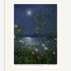 Lake District art framed print by Jeff Sudders of a dark blue moonlit sky with reflections on the lake and wild roses in the foreground.