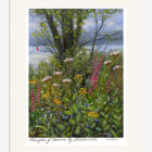 Lake District art framed print Thoughts of Summer by Windermere by Jeff Sudders showing colourful wildflowers with the lake behind.